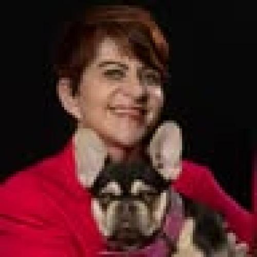 Sharon Levitt photo