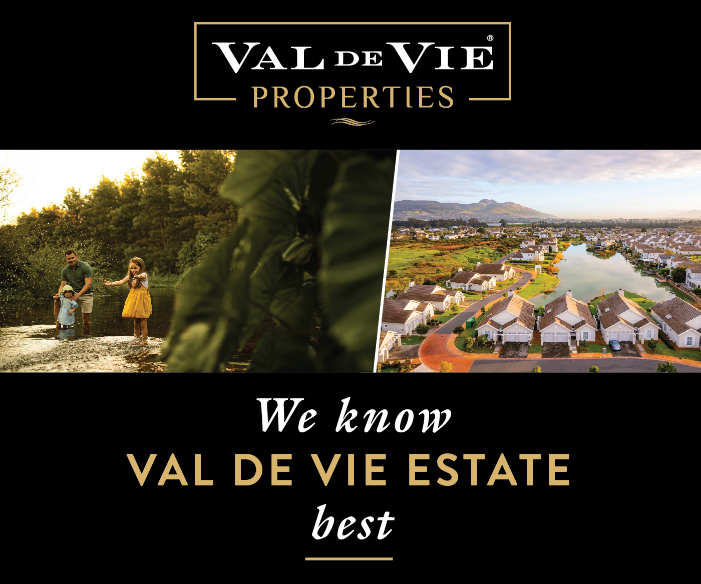 Advertisement for ValdeVie Banner3