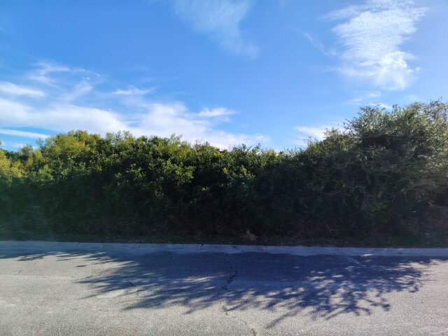 <!--[if BLOCK]><![endif]--> 4  Alexander, Clarendon Marine, Clarendon Marine <!--[if ENDBLOCK]><![endif]-->