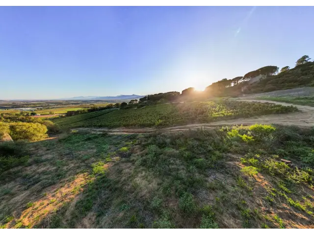 <!--[if BLOCK]><![endif]--> 31  Rhebokskloof Estate , Rhebokskloof Estate, Paarl <!--[if ENDBLOCK]><![endif]-->