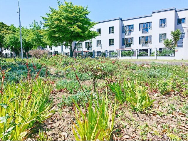 <!--[if BLOCK]><![endif]--> Property sold in Dennesig <!--[if ENDBLOCK]><![endif]-->