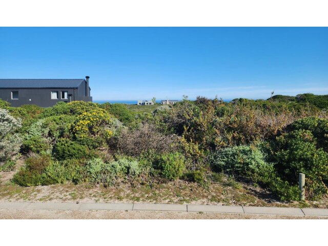 <!--[if BLOCK]><![endif]--> 352  Oystercatcher, Dangerpoint, Gansbaai <!--[if ENDBLOCK]><![endif]-->