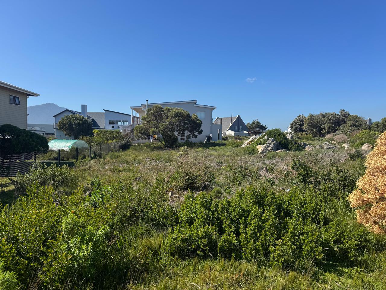  41  Agaphantus, Betty's Bay, Betty's Bay 