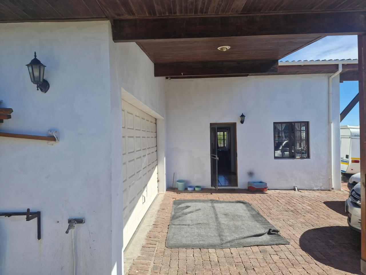  21  Aulax, Betty's Bay, Betty's Bay 