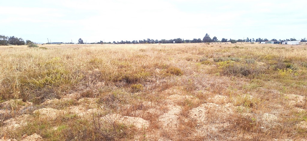  Eenzaamheid small holdings  Vredenburg R45, Vredenburg, Vredenburg 