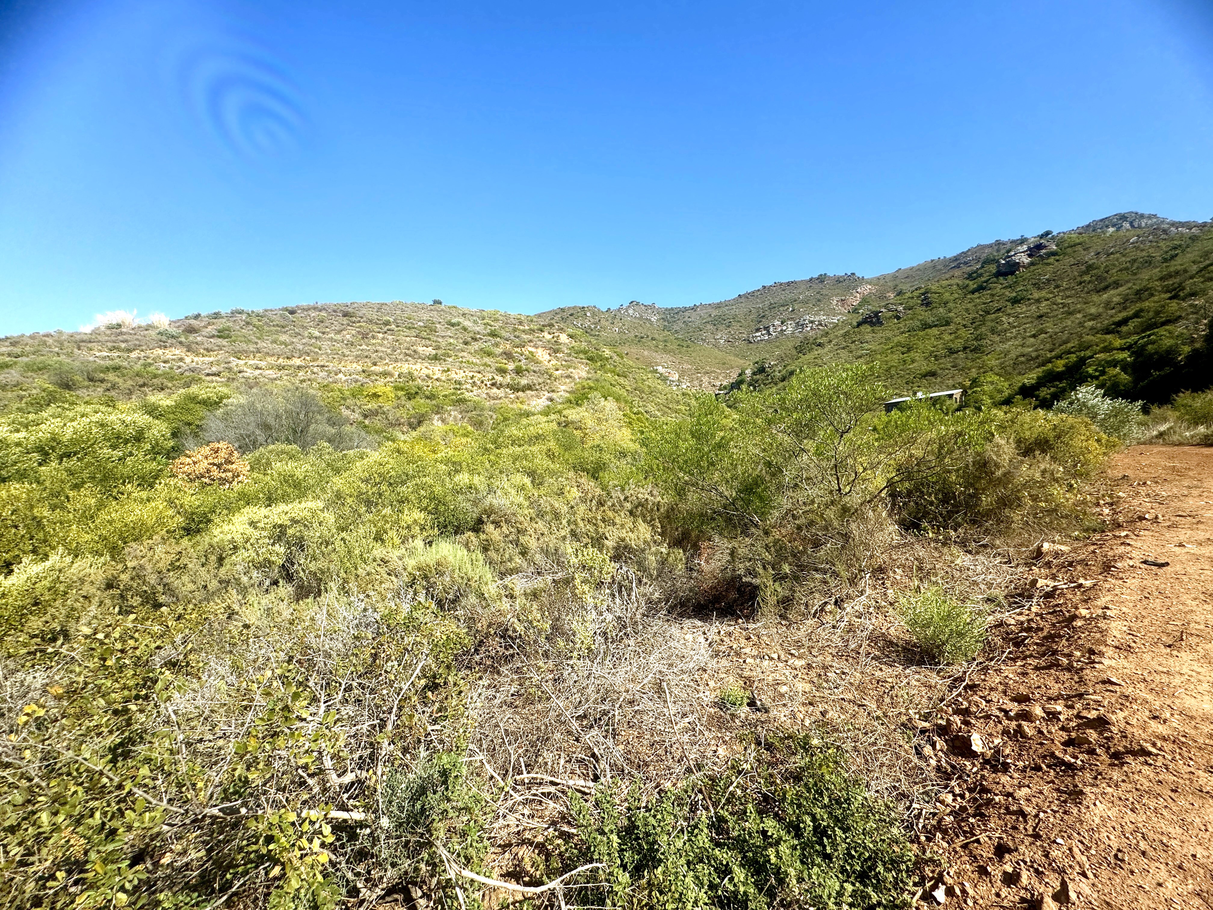  1877  Nektar Hoogte, Riebeek Kasteel, Riebeek Kasteel 