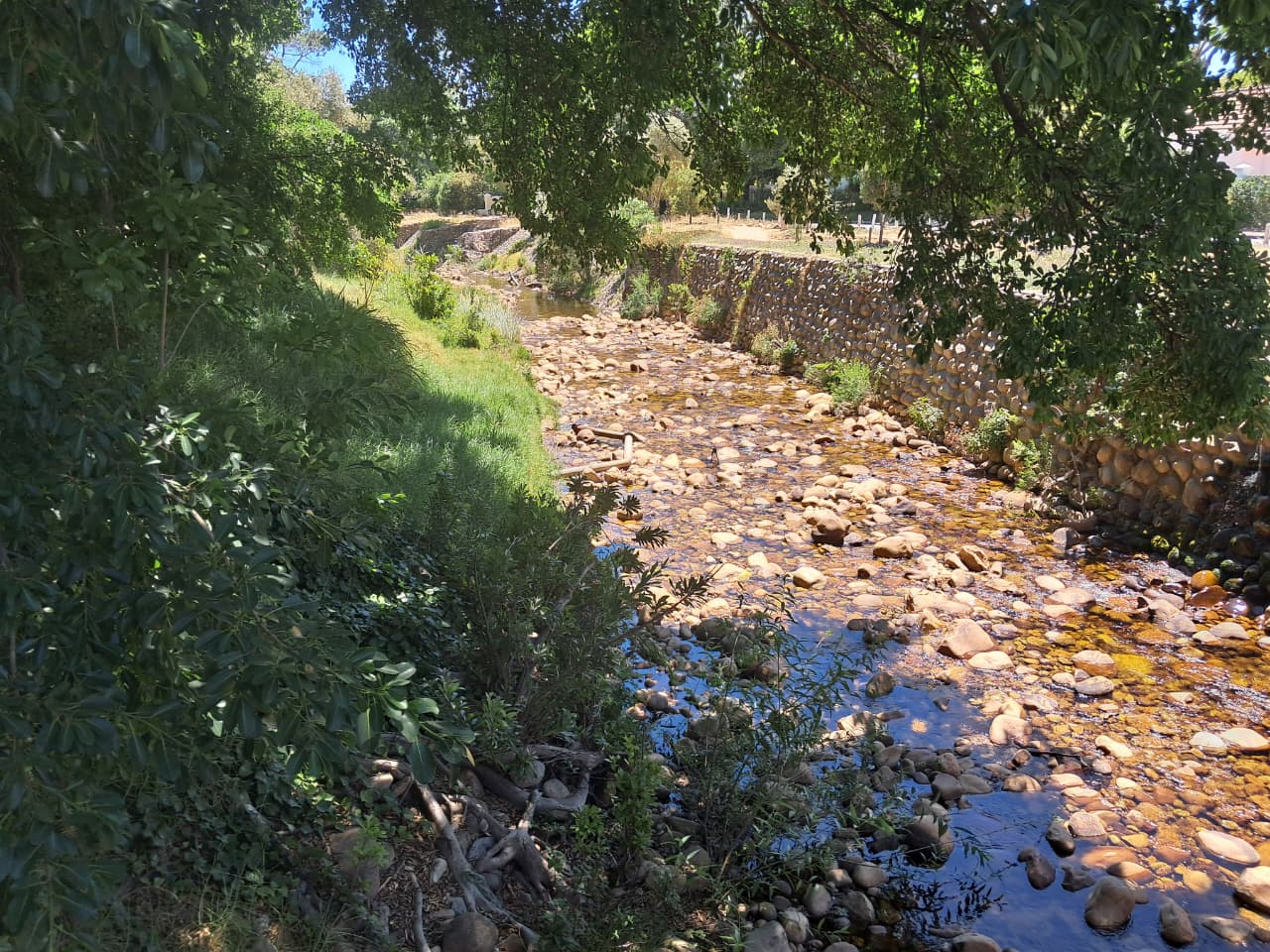 <!--[if BLOCK]><![endif]--> 50  Rhodes South, Die Boord, Stellenbosch <!--[if ENDBLOCK]><![endif]-->