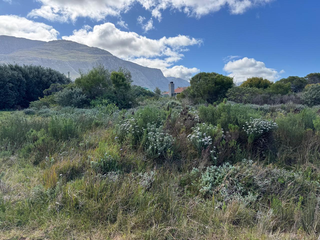  23  Park road, Betty's Bay, Betty's Bay 