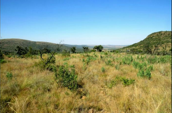 <!--[if BLOCK]><![endif]--> 371  Farm Boschhoek, Boschhoek Mountain Estate, Modimolle <!--[if ENDBLOCK]><![endif]-->