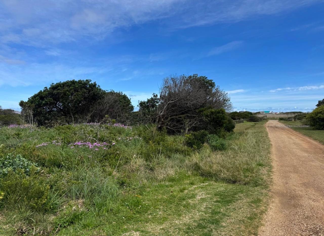  10  Orphium cl, Betty's Bay, Betty's Bay 
