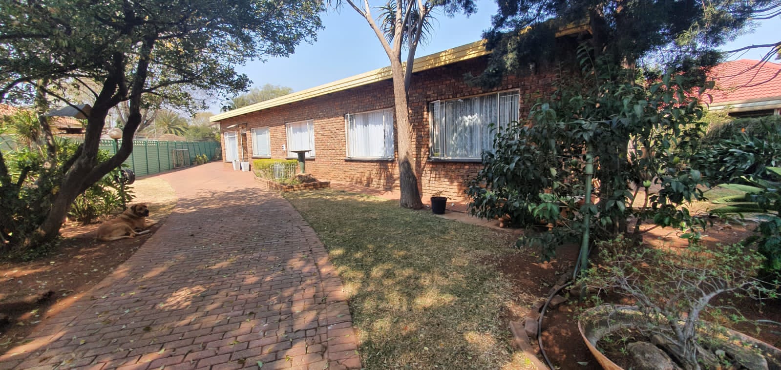  226  Gemsbok, Wierda Park,  Centurion 