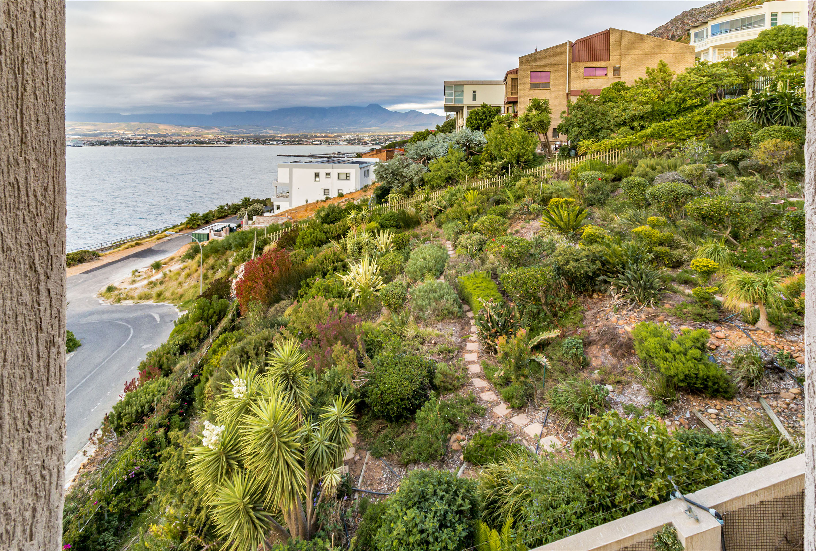 <!--[if BLOCK]><![endif]--> 104  Suikerbossie Drive , Mountainside, Gordons Bay <!--[if ENDBLOCK]><![endif]-->