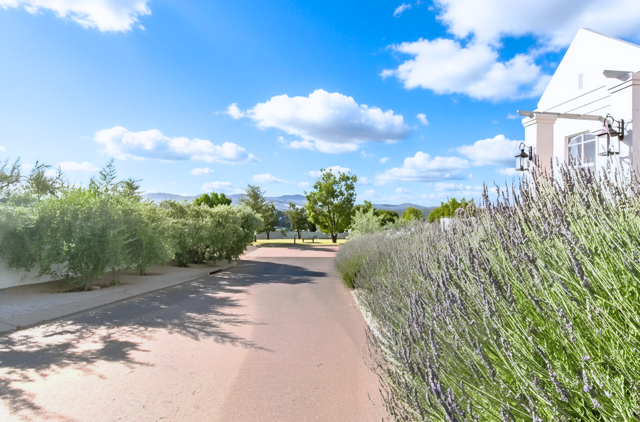 <!--[if BLOCK]><![endif]--> Property sold in La Pastorale <!--[if ENDBLOCK]><![endif]-->