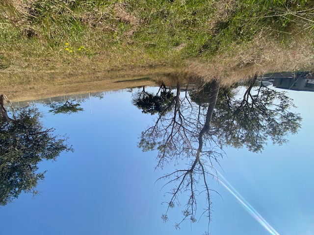  35  Tshokwane Way, Sonheuwel Ext 1, Nelspruit 