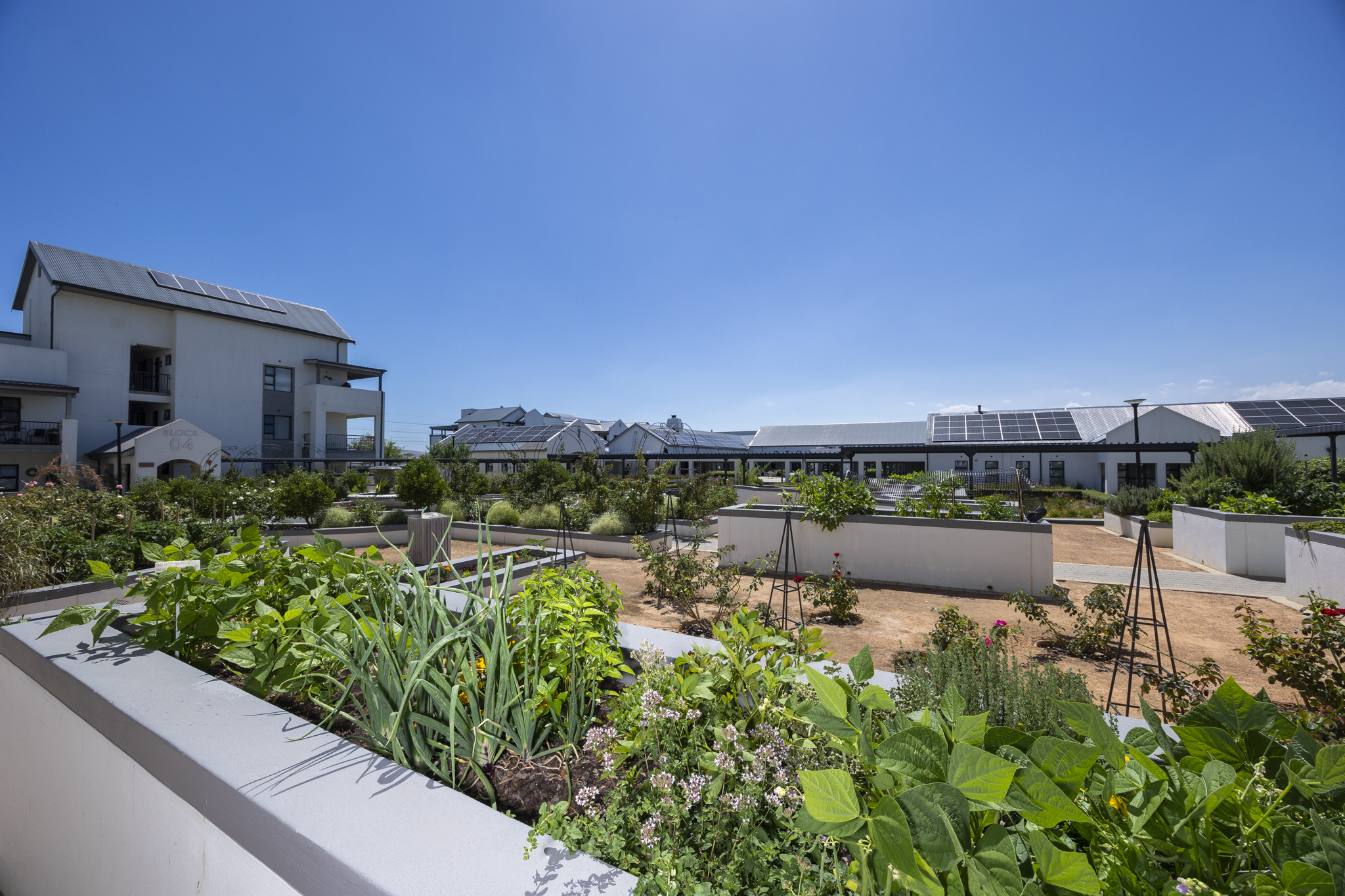 <!--[if BLOCK]><![endif]--> 38 BUH-REIN Darwin, Buhrein Estate, Kraaifontein <!--[if ENDBLOCK]><![endif]-->